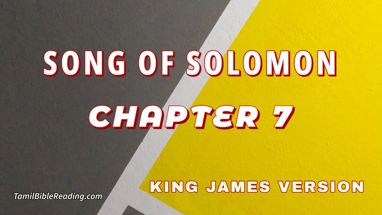 Song Of Solomon Chapter 7, English Bible, KJV Bible, online English Bible, tbr site,