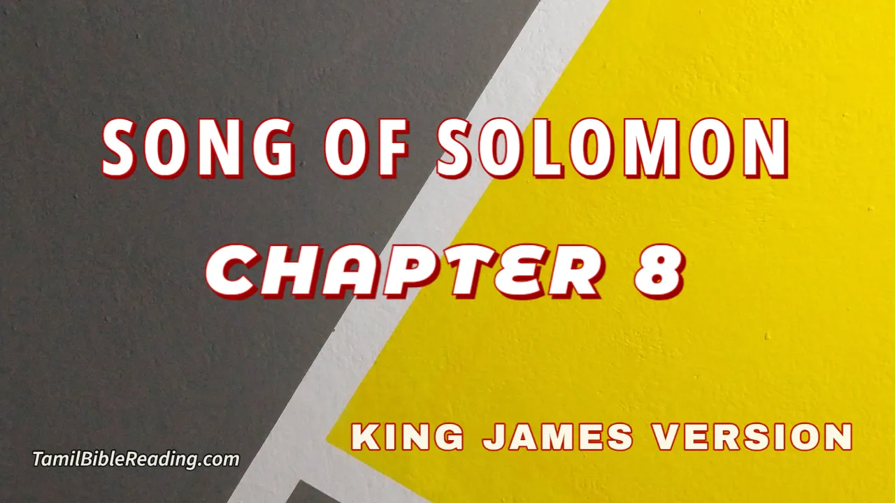 Song Of Solomon Chapter 8, English Bible, KJV Bible, online English Bible, tbr site,