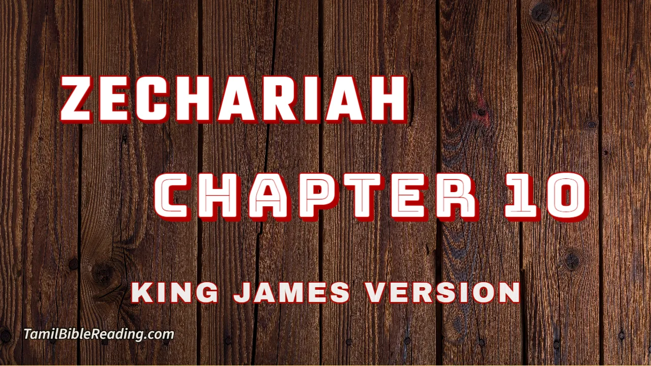 Zechariah Chapter 10, English Bible, KJV Bible, online English Bible, tbr site,