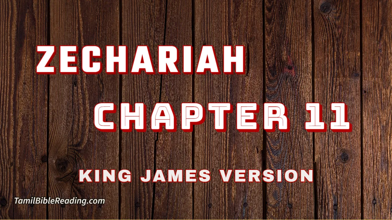 Zechariah Chapter 11, English Bible, KJV Bible, online English Bible, tbr site,