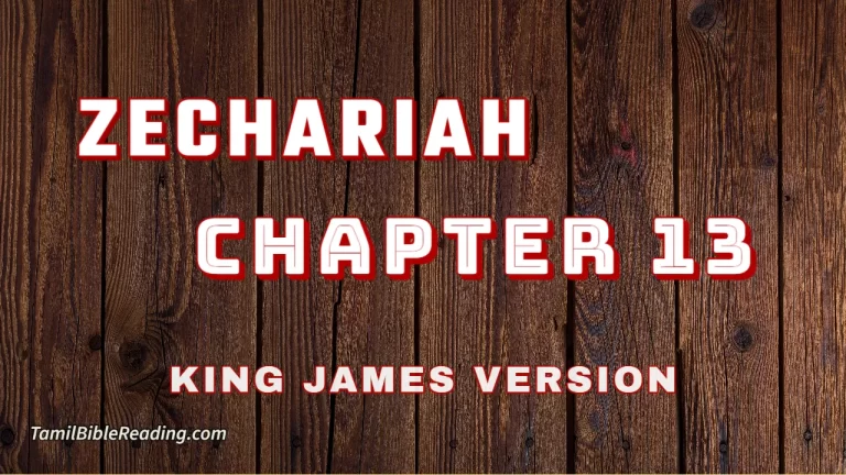 Zechariah Chapter 13, English Bible, KJV Bible, online English Bible, tbr site,