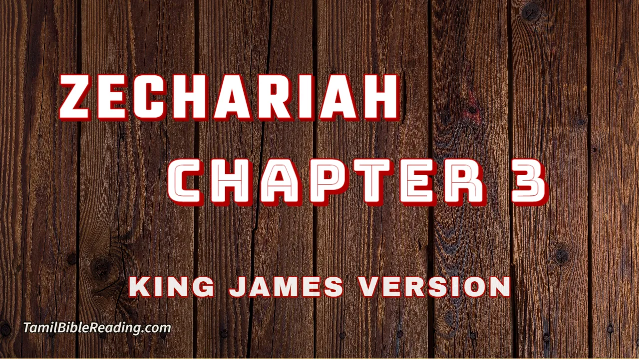 Zechariah Chapter 3, English Bible, KJV Bible, online English Bible, tbrsite,