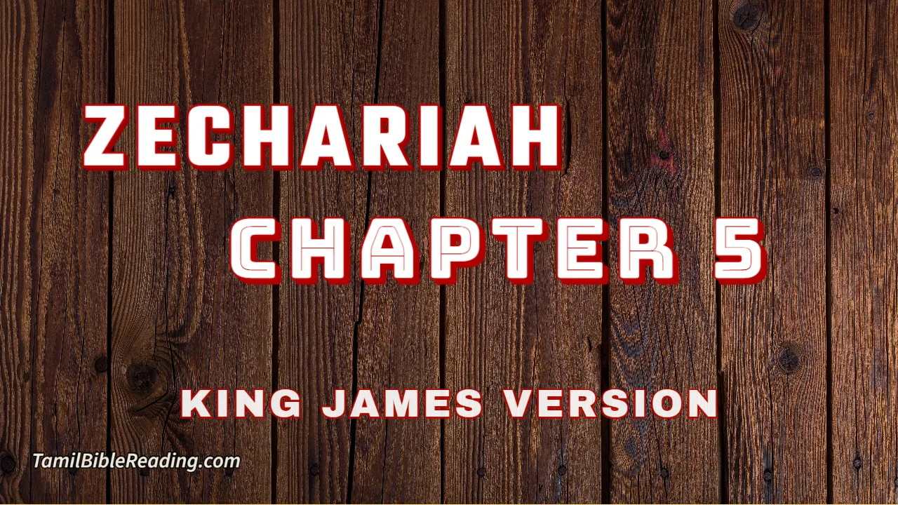 Zechariah Chapter 5, English Bible, KJV Bible, online English Bible, tbr site,