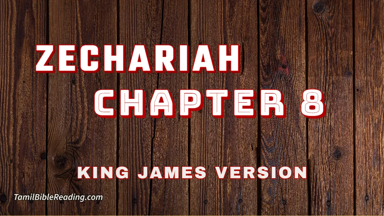 Zechariah Chapter , English Bible, KJV Bible, online English Bible, tbr site,